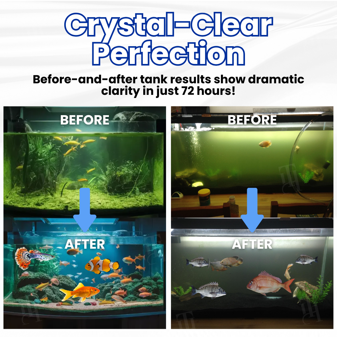 ⚡Limited Stocks!!!AEXZR® Max-Power Aquarium pur Tablet