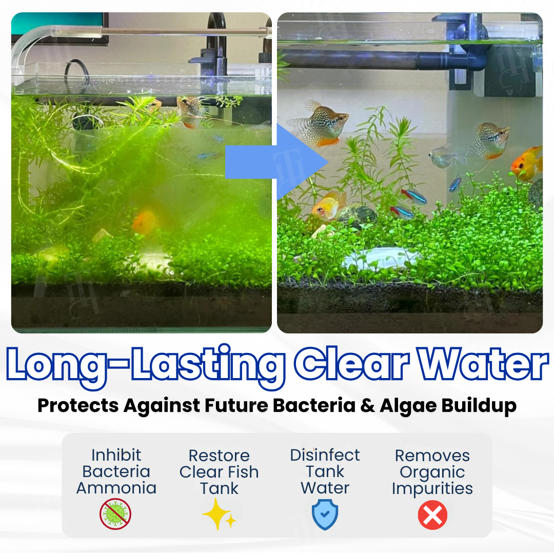 ⚡Limited Stocks!!!AEXZR® Max-Power Aquarium pur Tablet