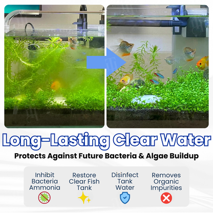 ⚡Limited Stocks!!!AEXZR® Max-Power Aquarium pur Tablet