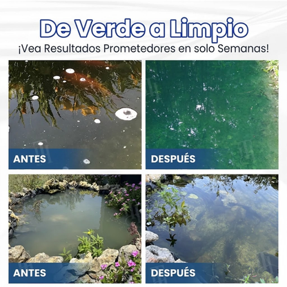 ✨ De verde a limpio durante la noche! |⏱️ cristalclaro en 24 horas! | AEXZR® Aqua-Guardian Fórmula Pro